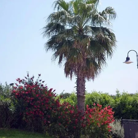 Villaggio Turistico Airone 4* Riotorto